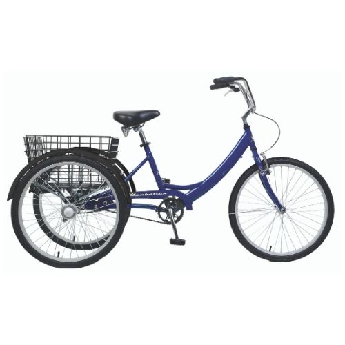 Image TRICYCLE 1 VITESSE BLEU (43-2185)