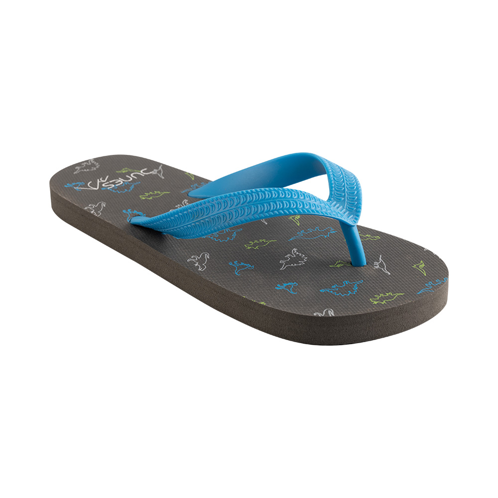 Image Dunes Beach Flip flops Junior Dinosaurs GREY